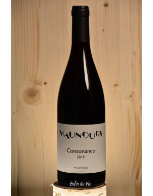 consonance 2019 vin de france maunoury val de loire pineau d'aunis cabernet-franc vin rouge bio biodynamie naturel