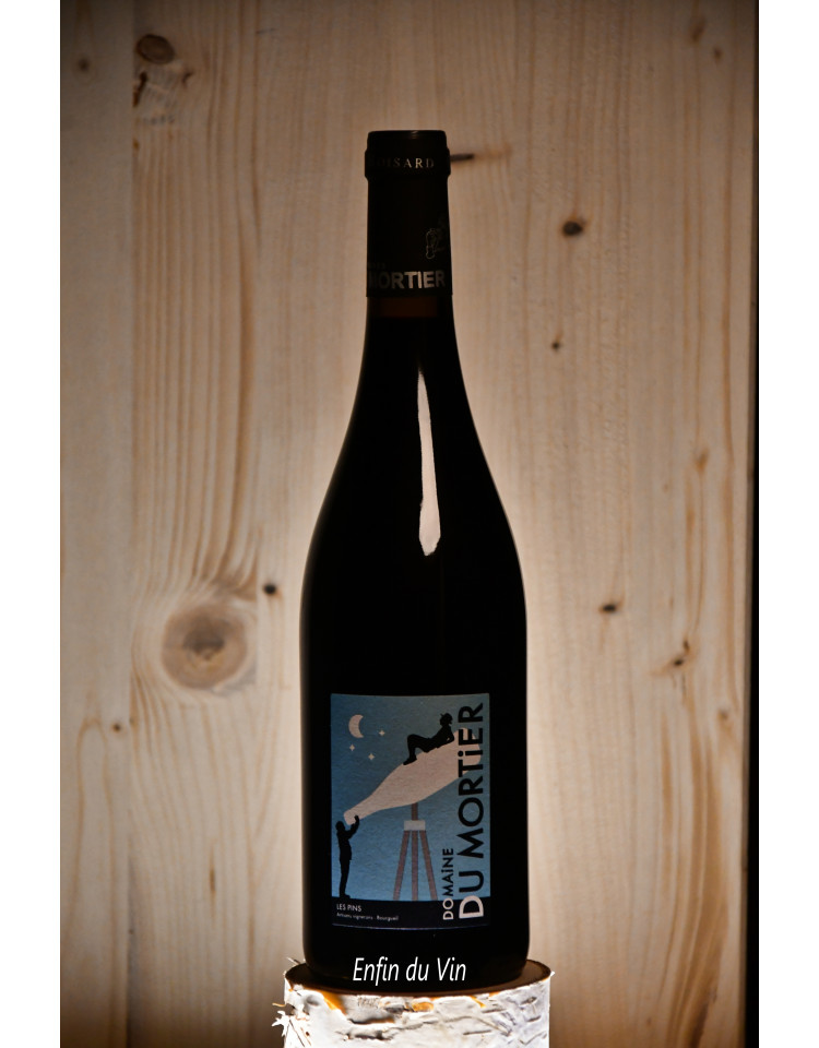 Les Pins 2019 Bourgueil Domaine du Mortier Boisard Val de Loire Cabernet-Franc Vin rouge bio vin naturel